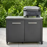 Мангал Cozze G-500 2 Burner 90502 Газ / Мобильный photo 6