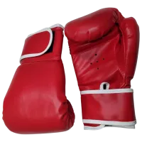 Боевые перчатки Arenasport 87979AD Бокс / Взрослый / 14 oz / Красный