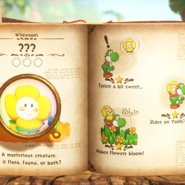 Yoshi And The Mysterious Book Game for Nintendo Switch 2 photo 7