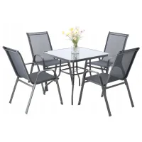 Set mobilă grădină Chomik TIH3384 Metal / Sticlă / Metal / Gray photo 3