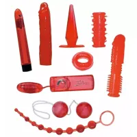 Set de jucării pentru adulți You2Toys Red Roses Pink photo 2