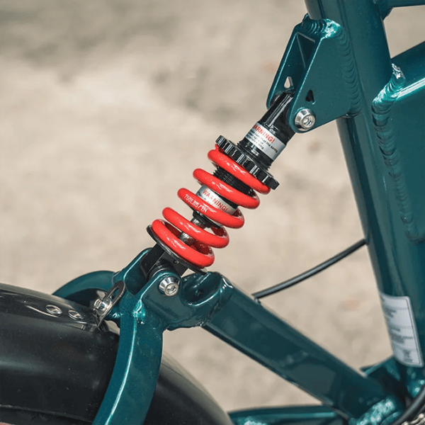 Bicicletă electrică FIIDO M1 Pro 20"  / Green photo 5