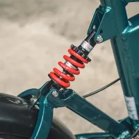 Bicicletă electrică FIIDO M1 Pro 20" / Green photo 5