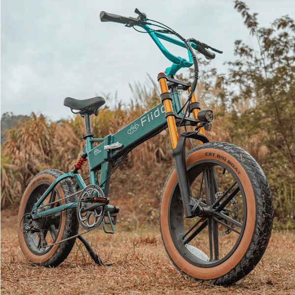 Bicicletă electrică FIIDO M1 Pro 20"  / Green photo 7