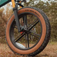 Bicicletă electrică FIIDO M1 Pro 20" / Green photo 8