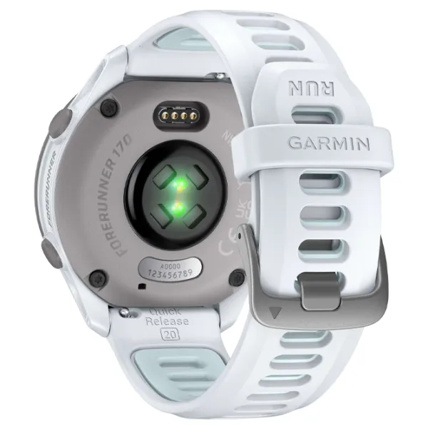 Умные часы Garmin Forerunner 170 Music 1.2" / 30.4 мм / Белый Камень - Cloud Blue / 010-03920-11 photo 4