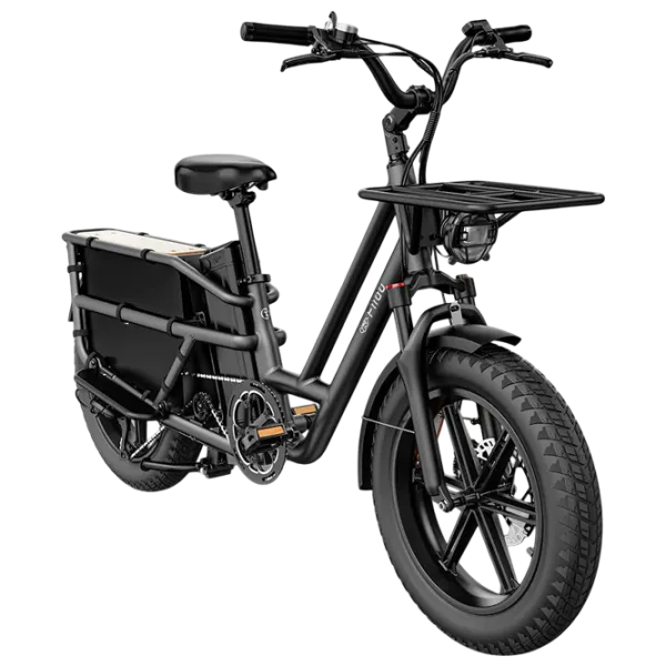 Bicicletă electrică FIIDO T2 20"  / Black photo 3