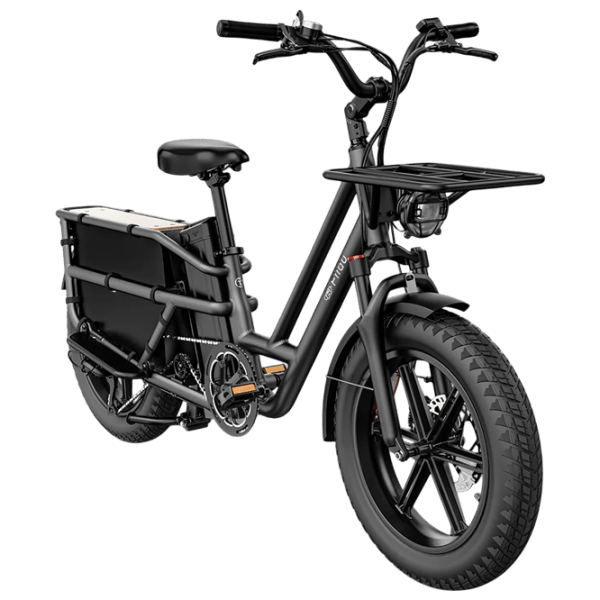 Bicicletă electrică FIIDO T2 20"  / Black photo 3