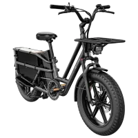 Bicicletă electrică FIIDO T2 20" / Black photo 3