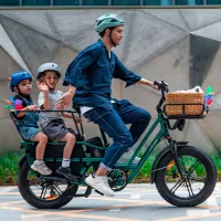 Bicicletă electrică FIIDO T2 20" / Black photo 5