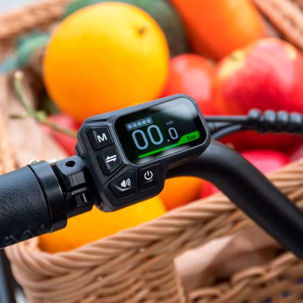 Bicicletă electrică FIIDO T2 20"  / Black photo 9