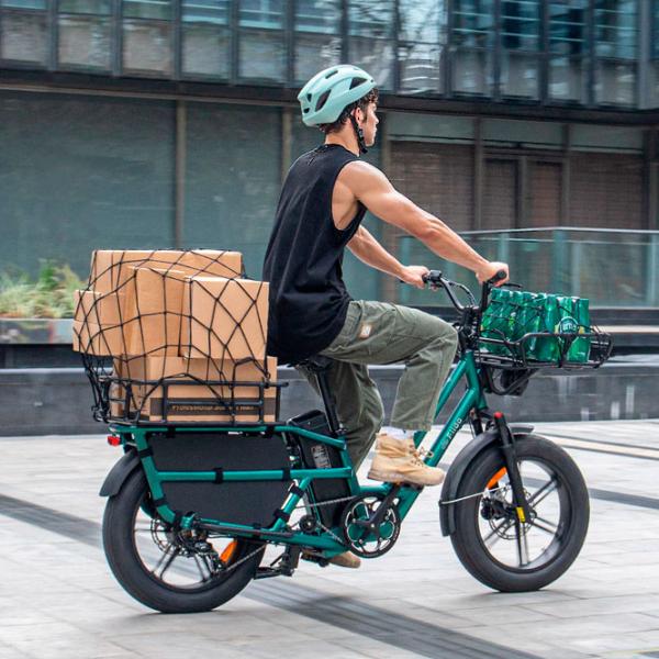 Bicicletă electrică FIIDO T2 20"  / Black photo 10