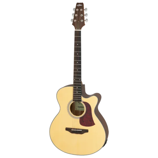 Chitară electro-acustică Aria AF-10CE 4/4, Folk, Matte Natural photo 1