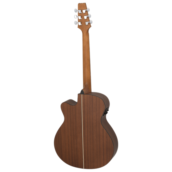 Электроакустическая гитара Aria AF-10CE 4/4, Folk, Матовый табачный Sunburst photo 2