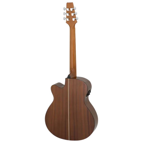 Chitară electro-acustică Aria AF-10CE 4/4, Folk, Natural photo 2