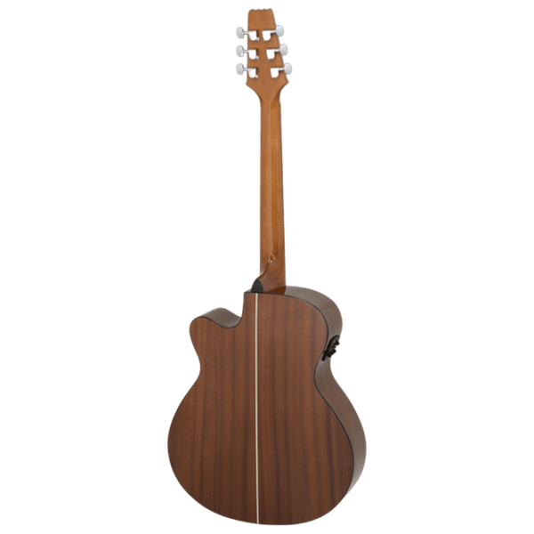 Chitară electro-acustică Aria AF-10CE 4/4, Folk, Natural photo 2
