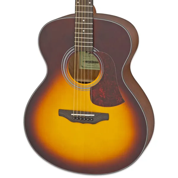 Chitară acustică Aria AF-10 4/4, Jumbo, Matte Tobacco Sunburst photo 3