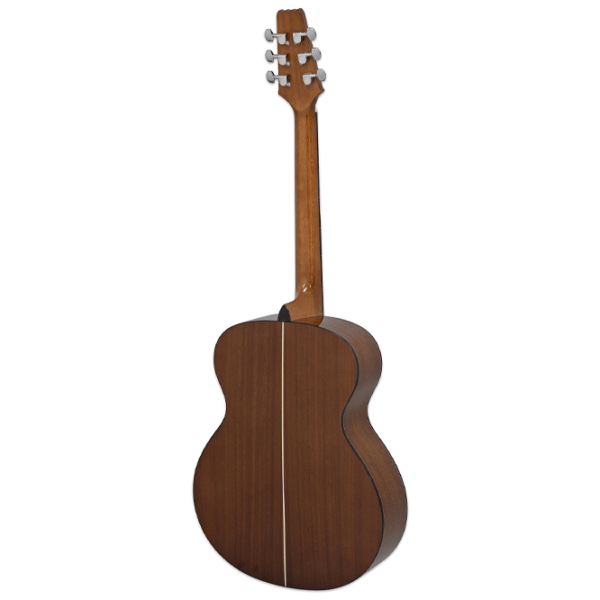 Chitară acustică Aria AF-10 4/4, Jumbo, Tobacco Brown Sunburst photo 2