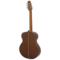 Chitară acustică Aria AF-10 4/4, Jumbo, Tobacco Brown Sunburst photo 2