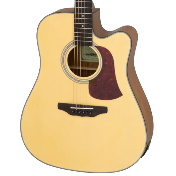 Chitară electro-acustică Aria AD-10CE 4/4, Dreadnought, Matte Natural photo 2