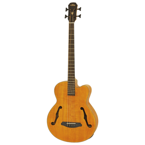 Электроакустическая бас-гитара Aria FEB-F2M STBR 4/4, Jumbo, Коричневый photo 1
