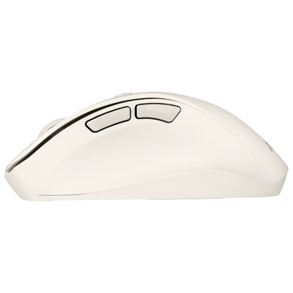 Мышь Asus MD105 Milky White photo 4