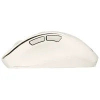 Mouse Asus MD105 Milky White photo 4
