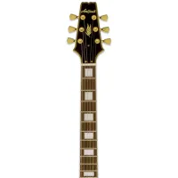 Chitară electrică ARIA Pro II PE-350 CST 4/4, photo 5