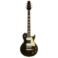 Chitară electrică ARIA Pro II PE-350 STD 4/4, 