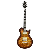 Chitară electrică ARIA Pro II PE-480 4/4, 