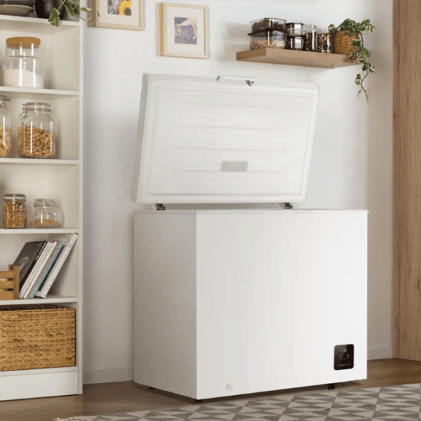 Ladă frigorifică Gorenje FH20E6W5 198l / White photo 6