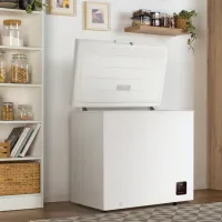 Ladă frigorifică Gorenje FH20E6W5 198l / White photo 6