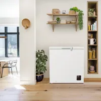 Ladă frigorifică Gorenje FH20E6W5 198l / White photo 7