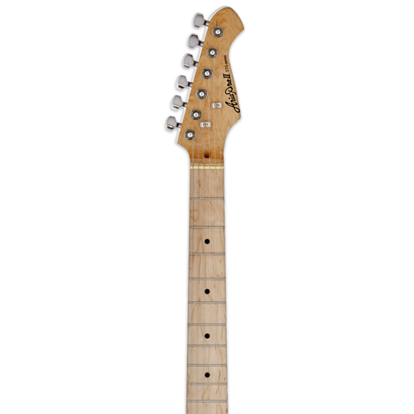 Chitară electrică ARIA Pro II STG-003/M 3TS 4/4,  photo 3