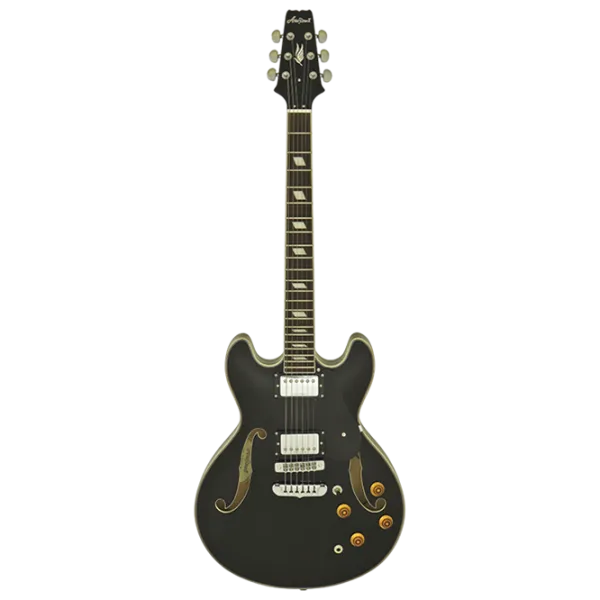 Chitară electrică ARIA Pro II TA-CLASSIC 4/4,  photo 1