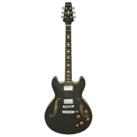 Chitară electrică ARIA Pro II TA-CLASSIC 4/4, 