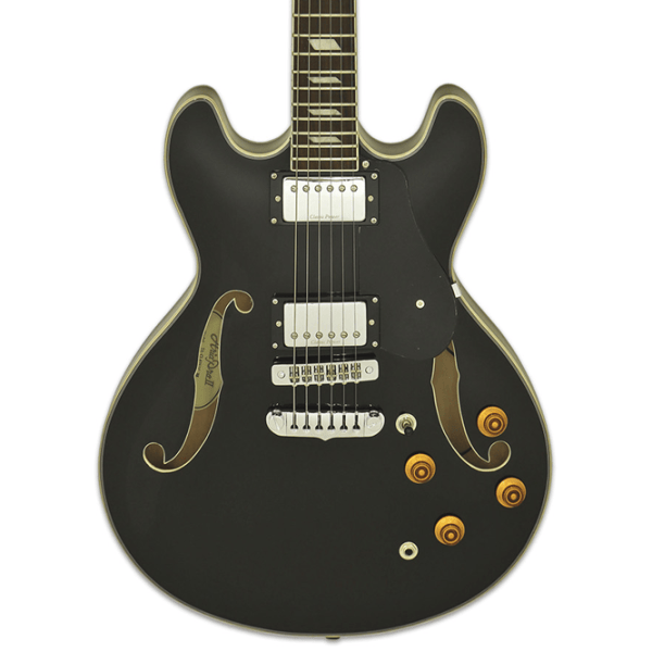 Chitară electrică ARIA Pro II TA-CLASSIC 4/4,  photo 2