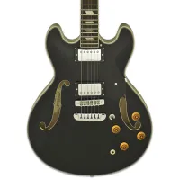 Chitară electrică ARIA Pro II TA-CLASSIC 4/4, photo 2
