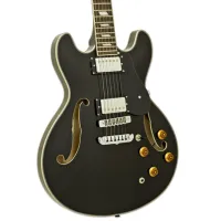 Chitară electrică ARIA Pro II TA-CLASSIC 4/4, photo 4