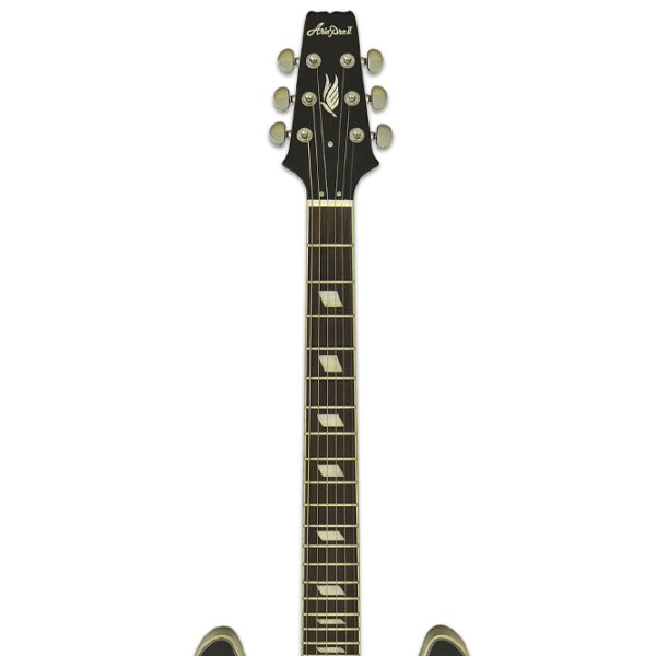 Chitară electrică ARIA Pro II TA-CLASSIC 4/4,  photo 5