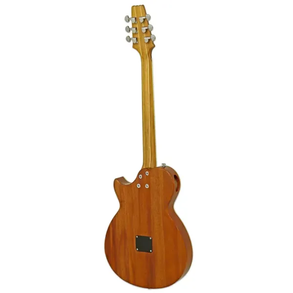 Chitară electro-acustică ARIA Pro II ARIA Pro II 4/4, , Sunburst photo 4