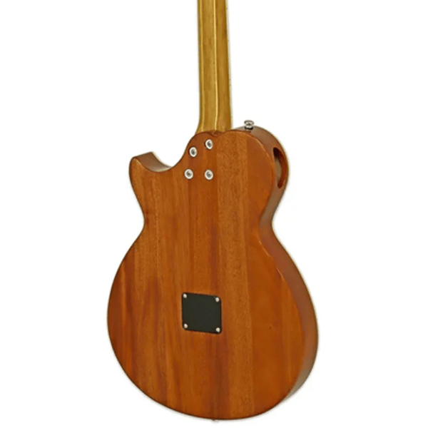 Chitară electro-acustică ARIA Pro II ARIA Pro II 4/4, , Sunburst photo 5