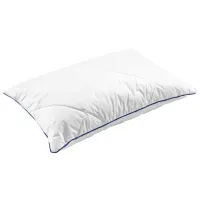 Pernă PernaMea Confort PM.100062 Bambus / 60 x 40 cm