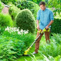 Motocoasă Ryobi RLT1831H25F / Green photo 6