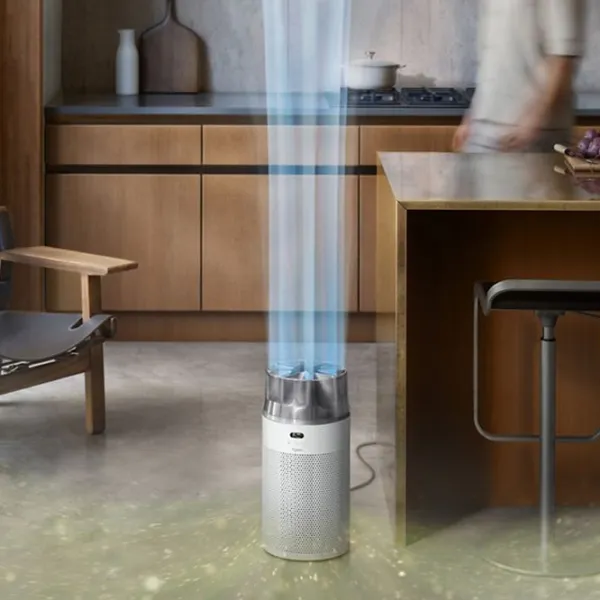 Очиститель воздуха Dyson HJ10 Напольная / Серебряный photo 4