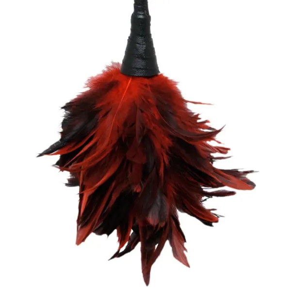 Перо для тиклинга Fetish Fantasy Frisky Feather Duster Красный photo 3