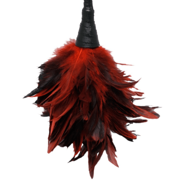 Перо для тиклинга Fetish Fantasy Frisky Feather Duster Красный photo 3