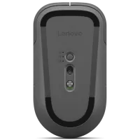 Mouse Lenovo Pro Plus 6050 Luna Grey photo 5