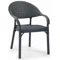 Садовый стул Mobiland Bamboo Пластик / Пластик / Antracit photo 2