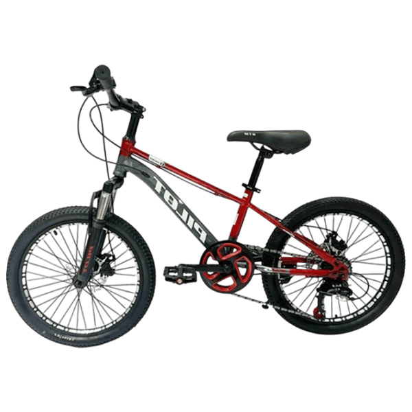 Велосипед Richi Tichi GI-9/2 20" Металл / Красный  photo 1